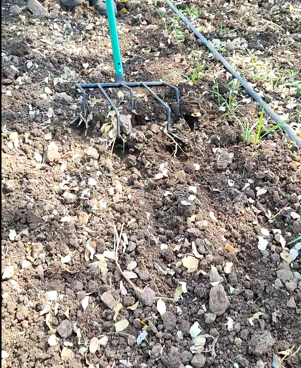 5 Tyne Cultivator (WITHOUT LONG HANDLE)