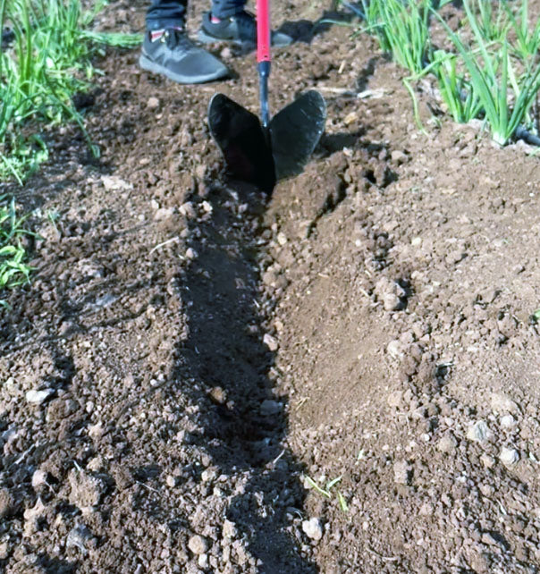 Ridger  (WITHOUT LONG HANDLE)