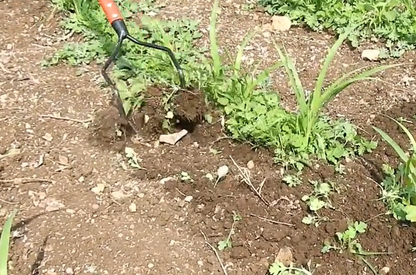 Bow Weeder (WITHOUT LONG HANDLE)