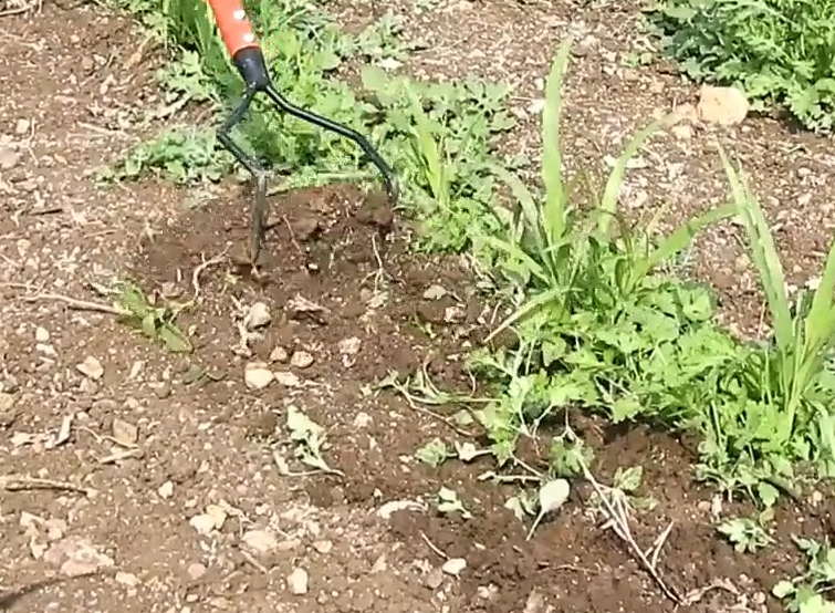 Bow Weeder (WITHOUT LONG HANDLE)