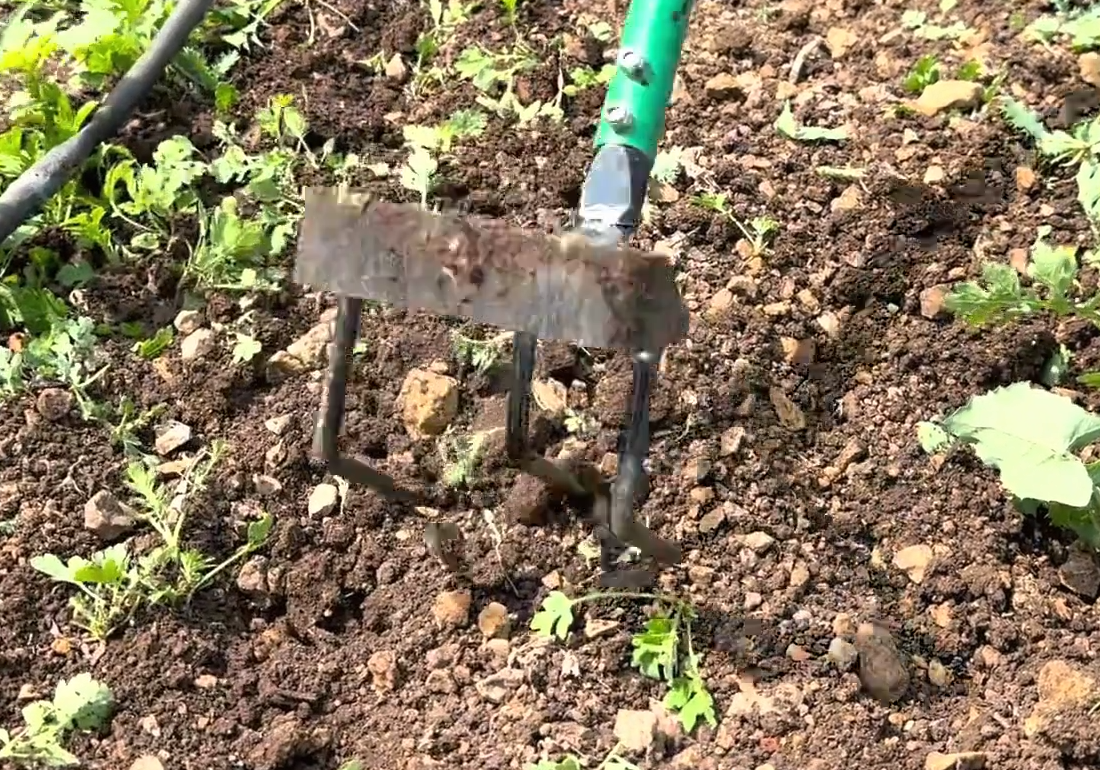 3-tyne cultivator with Blade (WITHOUT LONG HANDLE)
