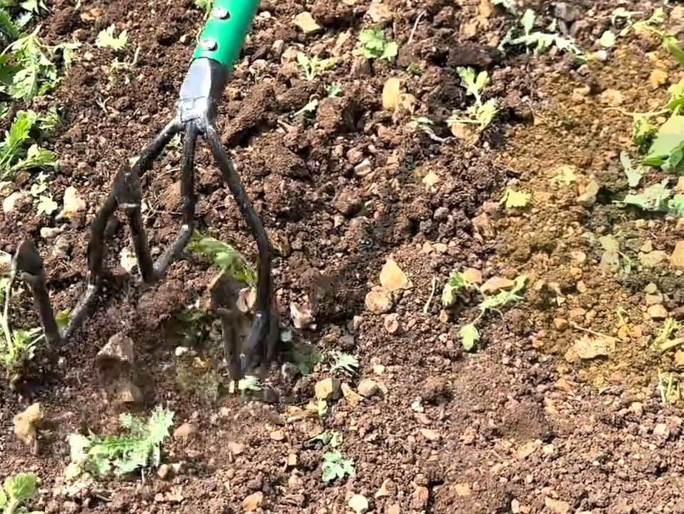 3-tyne cultivator with Blade (WITHOUT LONG HANDLE)